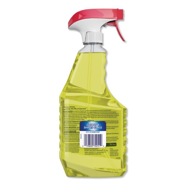 Windex Citrus Fresh Disinfectant Cleaner Multi-Surface Spray - 26 fl oz