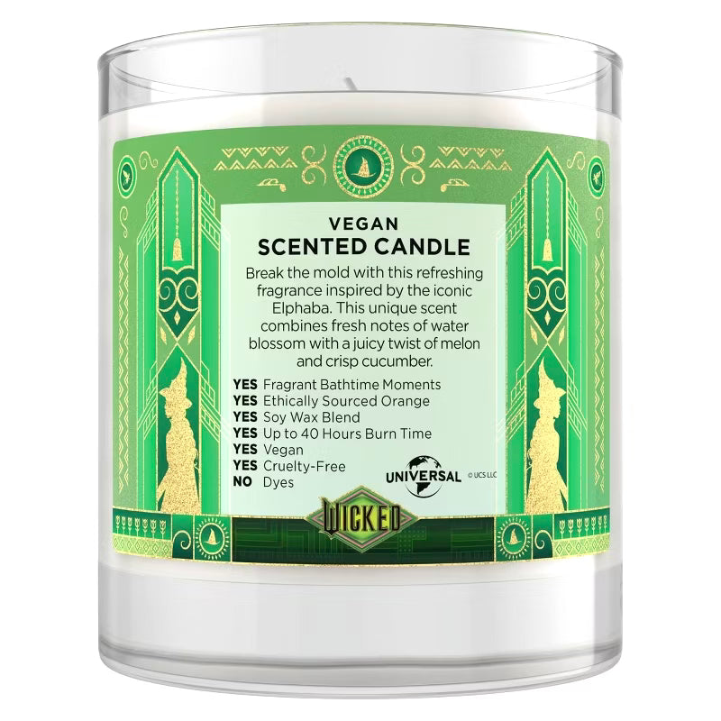 Beloved Wicked Defy Gravity 1 Wick Candle 7oz