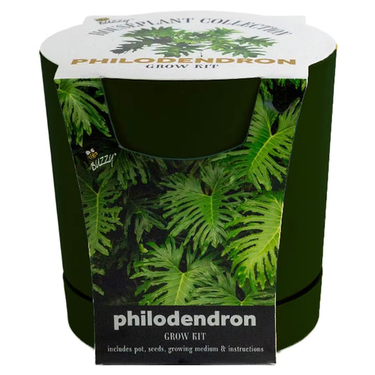 Buzzy Philodendron Grow Kit