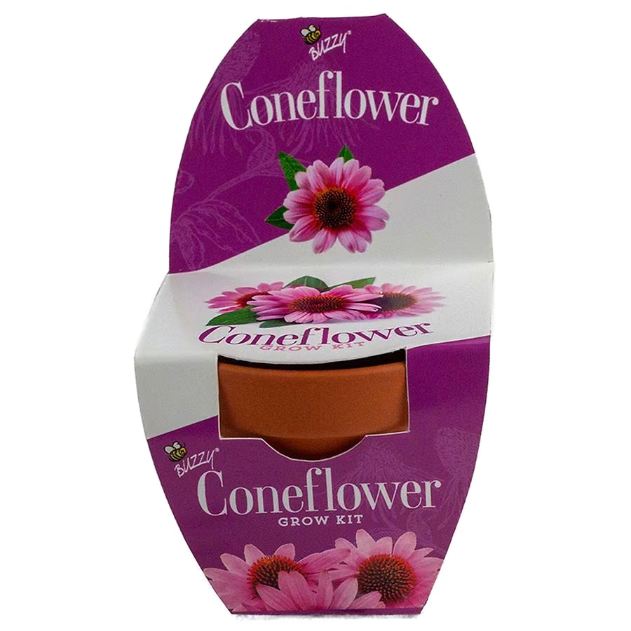 Buzzy Coneflower Grow Kit